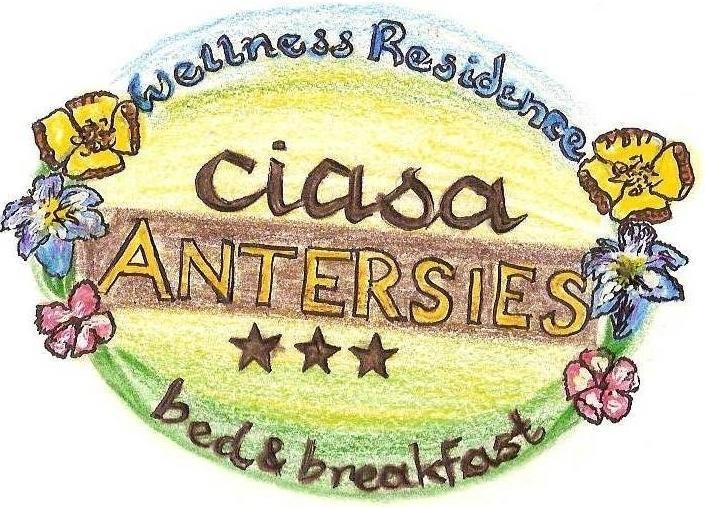 Family And Wellness Residence Ciasa Antersies サン・カッシアーノ エクステリア 写真